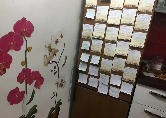 Appartamento Rapisardi Centro